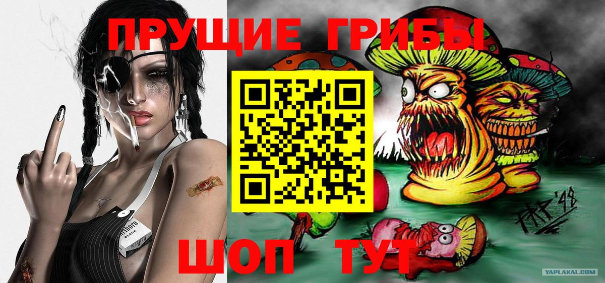Галлюциногенные грибы мицелий Фролово